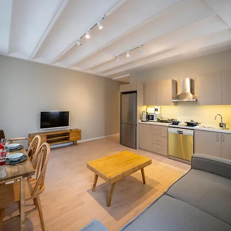 Historic 2 Bedroom Galata Apt-heart Of Kuledibi 1 *